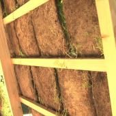 Voir la vidéo de Ateliers de la biodiversité
