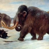La fin des derniers mammouths enfin expliquée ?