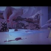Voir la vidéo de Expert en identification génétique