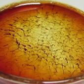 Ruptures, les matériaux roulent des mécaniques