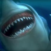 Voir la vidéo de Les requins au cinéma