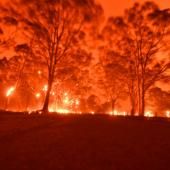 Incendies en Australie : des milliers de personnes prises au piège sur des plages