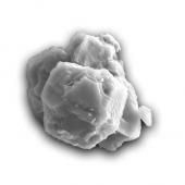  Des poussières d’étoiles de 7 milliards d’années identifiées dans la météorite de Murchison