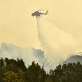  Incendies en Australie : des villes entières évacuées avant un nouveau pic de chaleur