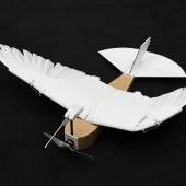 Un robot à plumes pour comprendre le vol du pigeon