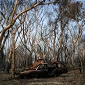 Australie : le « méga-feu » sous contrôle, de la pluie attendue 