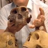 Voir la vidéo de Les comportements alimentaires des hommes préhistoriques
