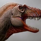 Un lointain cousin du T-Rex découvert au Canada 