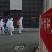  Des centaines de scientifiques réunis à Genève contre la « très grave menace » du coronavirus