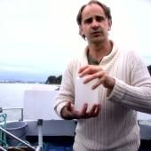 Voir la vidéo de Nicolas Susperregui, biologiste marin