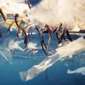 Voir la vidéo de Pollution plastique des océans : Tara remonte à la source