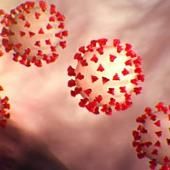 Pandémies : le rôle de l’Homme dans l’évolution de la biodiversité en cause