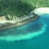 Australie : la Grande Barrière vient de vivre son pire épisode de blanchissement de coraux