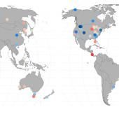 Derrière le déclin des insectes, des tendances contradictoires