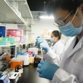 SARS-CoV-2 : stopper l’épidémie sans vaccin ?