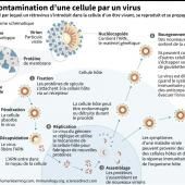 SARS-CoV-2 : une contamination confirmée avant même tout symptôme