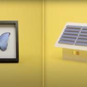 Voir la vidéo de Un papillon et l&#039;énergie solaire, quel est le rapport ?