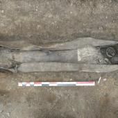Découverte à Autun de 150 tombes parmi les plus anciennes de Gaule 