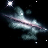 L’impressionnant champ magnétique de la galaxie NGC 4217