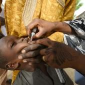 La polio éradiquée en Afrique, quatre ans après les derniers cas au Nigeria