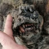 _en_see_video_of Un ours des cavernes découvert en Sibérie