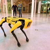 Nancy : un robot-chien pour remplacer l’homme dans les endroits dangereux 