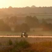 En Europe, 80 % des habitats naturels en mauvais état