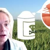 Voir la vidéo de Vers de terre : une étude alerte sur l’impact des pesticides 