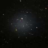 La matière noire de la galaxie NGC 1052-DF4 arrachée par une galaxie voisine