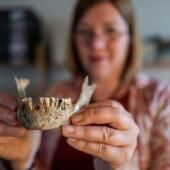 En Allemagne, découverte de la « dame de Bietikow », âgée de plus de 5000 ans