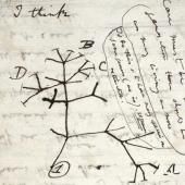 Deux précieux carnets de Darwin « volés » : appel à l’aide de l’université de Cambridge