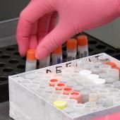 Un possible vaccin « pan-coronavirus » ? 