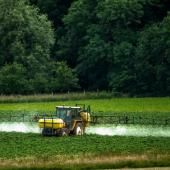 L'exposition aux pesticides augmente le risque de leucémie myéloïde aiguë