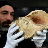 Une conque de 18 000 ans fait encore entendre sa musique