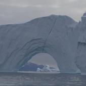 Voir la vidéo de Sous la glace, les océans blancs