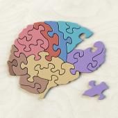 Idées claires sur le cerveau