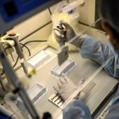 Covid-19 : plus contagieux, plus résistants, plus anxiogènes, ce qu’on sait des variants 