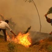 Au Népal, des feux de forêt d’une violence inédite depuis dix ans