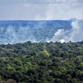 L’Amazonie brésilienne désormais émettrice nette de carbone