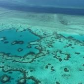 Grande Barrière de corail « en danger » pour l’Unesco, l’Australie prête à contester