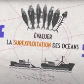 Voir la vidéo de « Évaluer la surexploitation des océans »