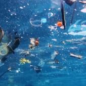 Non, les déchets plastiques ne disparaissent pas dans les océans