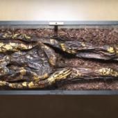 Voir la vidéo de La science se frotte aux momies dorées
