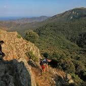 La hêtraie de la Massane, une forêt inexploitée classée par l’Unesco