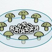 _en_see_video_of Des champignons magiques à la pénicilline