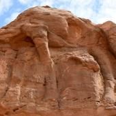 Des sculptures de dromadaires de plus de 7000 ans