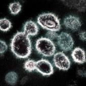 Un Français récompensé pour une technique de séquençage en première ligne dans la pandémie