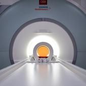 L&#039;IRM le plus puissant pour observer le corps humain livre ses premières images