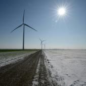 Mieux évaluer l'impact de l'éolien sur la biodiversité pour le réduire