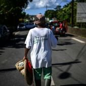 Chlordécone : les cancers de la prostate considérés comme « maladie professionnelle »